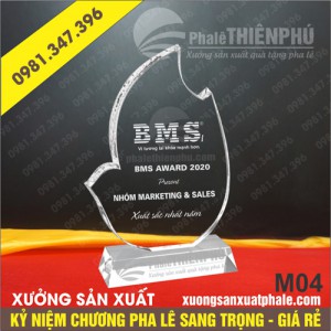 Kỷ niệm chương pha lê 04