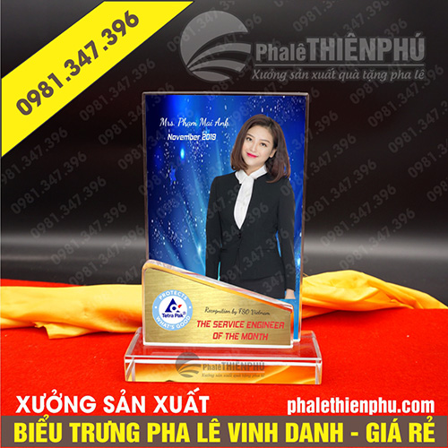 Biểu trưng vinh danh đứng
