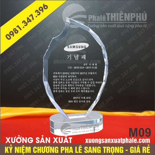 Kỷ niệm chương pha lê 09