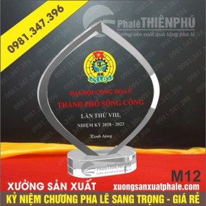 Kỷ niệm chương pha lê 12